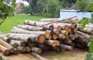 Aspiración industrial en el sector de la madera