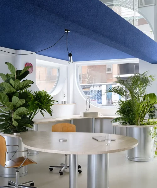 Mesa con tubos de acero y plantas de interior